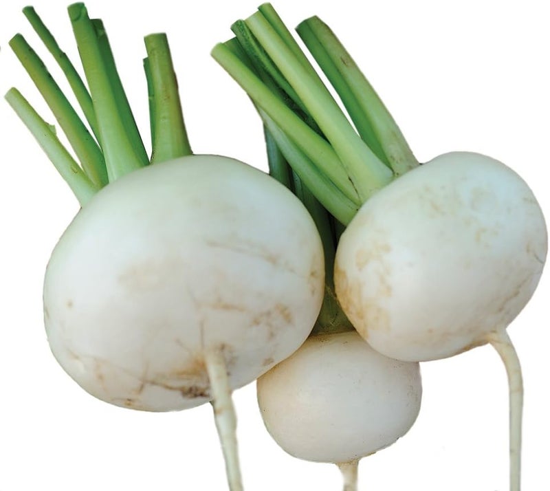Burpee Tokyo Cross Turnip Seeds 600 seeds