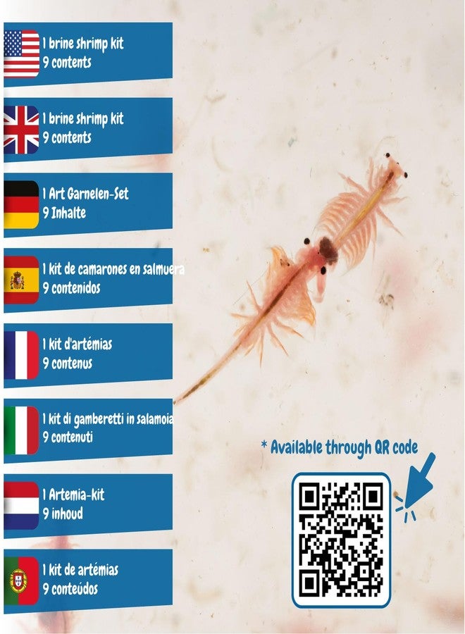 Science4you Jurassic Pets (Triops Family) - Water Dragons Kit, Grow Your Own Aquatic Sea Creatures, Science Kits for Kids Age 6+, Toys and Games, Gifts for 6+ Year Old Boys and Girls - Image 3