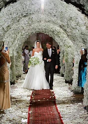 Bringsine Baby Breath Gypsophila White Fake Artificial Flowers for DIY Wedding Bouquets Bridal Shower Centerpieces Arrangements Party Tables Decorations 60 Pieces/Pack - Image 5