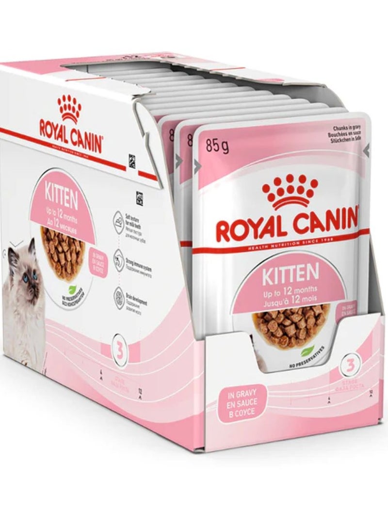 رويال كانين شرائح الطعام الرطب في هلام للقطط (حتى 12 شهرا) أكياس 12X85g