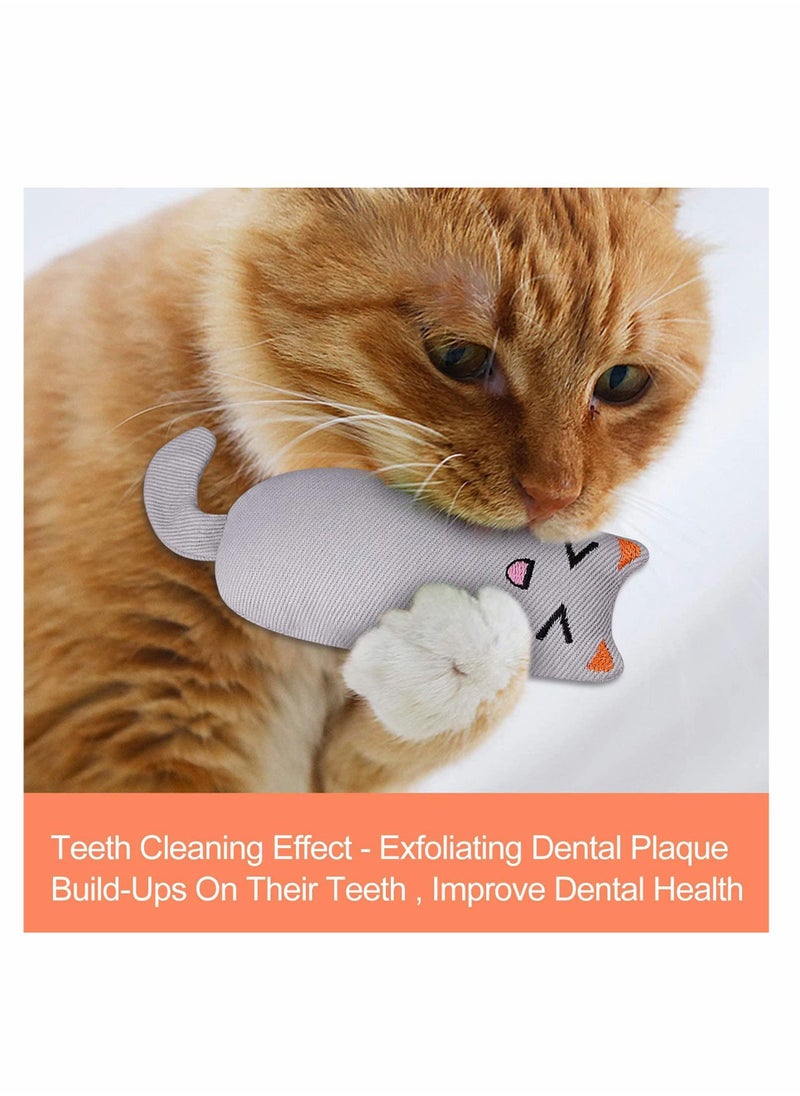 Y&D - 3Pcs Catnip Toy, Cat Chew Toy Bite Resistant, Filled Cartoon Mice, Teething Teeth Cleaning, Creative Pillow Scratch Pet Grinding - Image 1