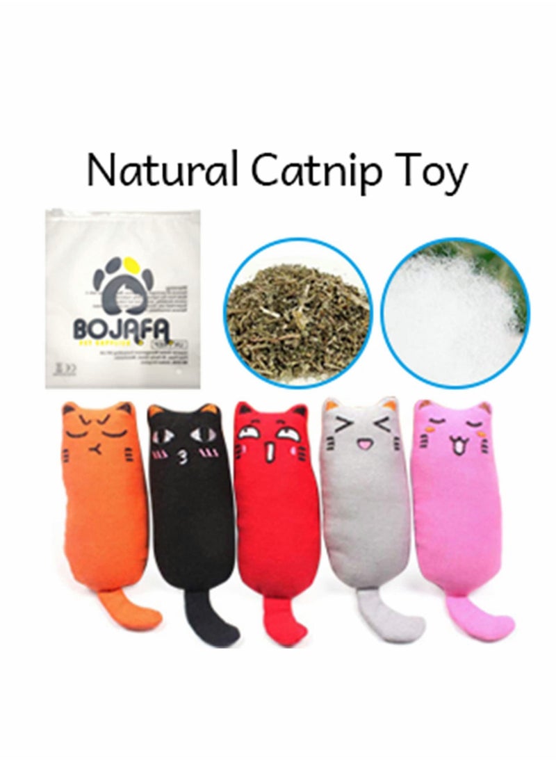Y&D - 3Pcs Catnip Toy, Cat Chew Toy Bite Resistant, Filled Cartoon Mice, Teething Teeth Cleaning, Creative Pillow Scratch Pet Grinding - Image 1