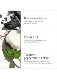 Briogeo Briogeo Scalp Revival Charcoal + Coconut Oil Micro-Exfoliating Shampoo, Treatment for Dry & Itchy Scalp, Clarifying Shampoo for Build Up, Scalp Scrub for Oily Scalp, Vegan, Cruelty-Free, 8 fl oz  - Image 3