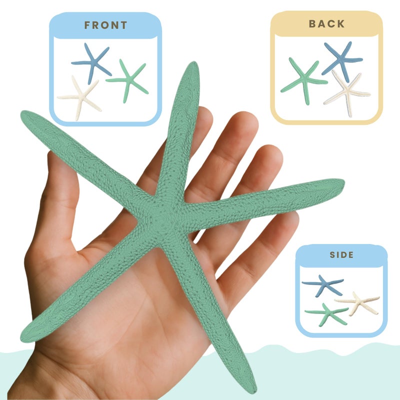 Nautical Crush Trading Starfish Decor - Star Fish for Craft - 10pk Real 4-6" Green Blue White Sea Stars - Beach Wedding Decor - Coastal Party Decorations - Seashell Decor - Image 4