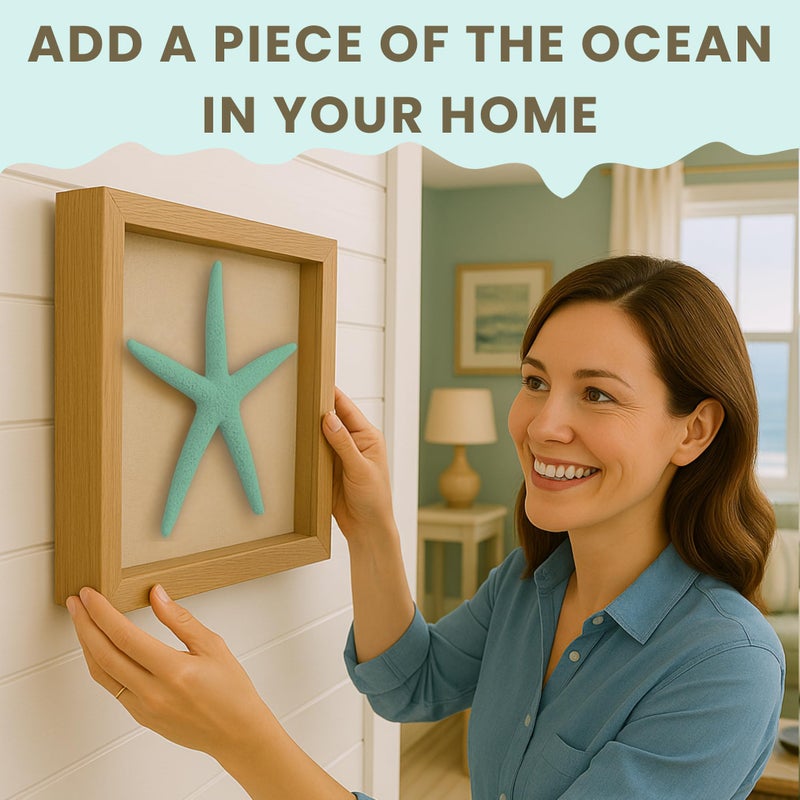 Nautical Crush Trading Starfish Decor - Star Fish for Craft - 10pk Real 4-6" Green Blue White Sea Stars - Beach Wedding Decor - Coastal Party Decorations - Seashell Decor - Image 3