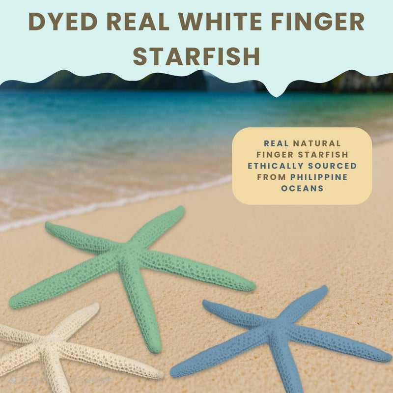 Nautical Crush Trading Starfish Decor - Star Fish for Craft - 10pk Real 4-6" Green Blue White Sea Stars - Beach Wedding Decor - Coastal Party Decorations - Seashell Decor - Image 5