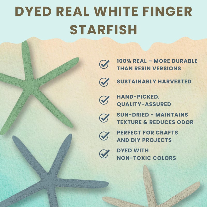 Nautical Crush Trading Starfish Decor - Star Fish for Craft - 10pk Real 4-6" Green Blue White Sea Stars - Beach Wedding Decor - Coastal Party Decorations - Seashell Decor - Image 2