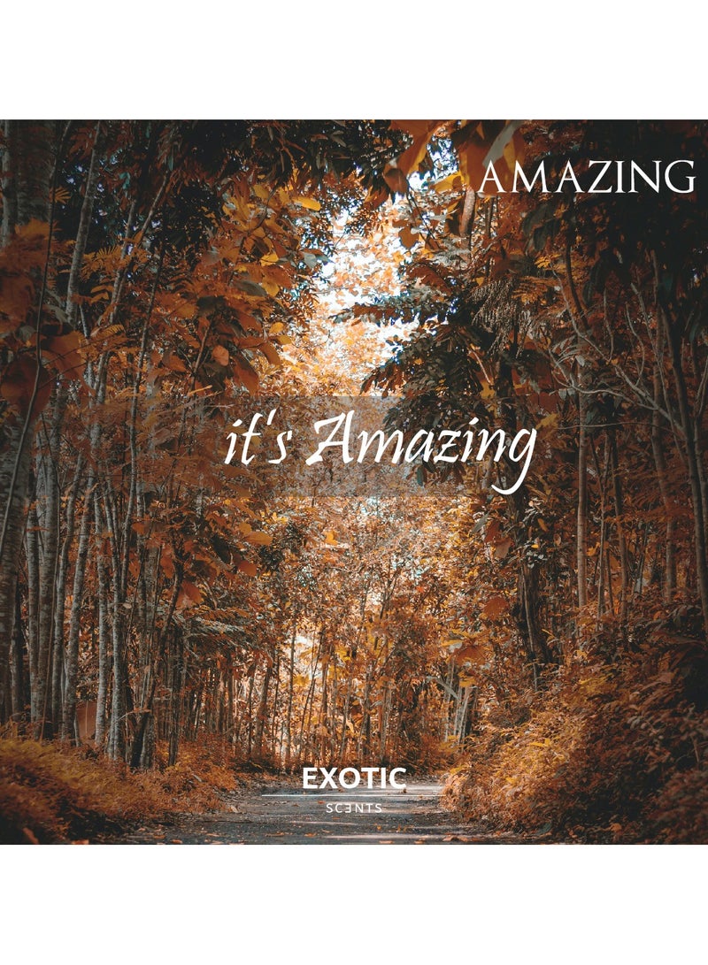Exotic Scents Exotic Scents Amazing Eau de Parfume - 60ml |Woody & Floral Fragrance, Long Lasting  - Image 3