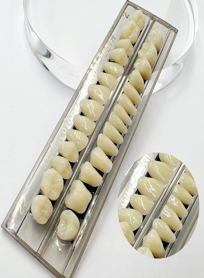 HRASY 56 Pcs False Teeth Fake Teeth 2 Sets Synthetic Resin Dental Tooth, Upper Lower Denture Tooth, Party Horror Prop Makeup DIY Replacement, 22 A2 - Image 5