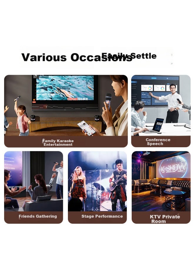 Bbs Wireless Handheld Microphone With Uhf Power Amplifier Receiver For Home Ktv Singing Stage Performance Hosting Speech Conference Th-10 Gold - Image 4