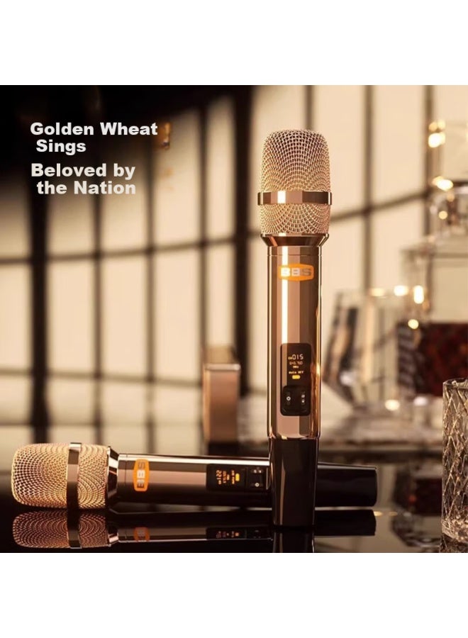 Bbs Wireless Handheld Microphone With Uhf Power Amplifier Receiver For Home Ktv Singing Stage Performance Hosting Speech Conference Th-10 Gold - Image 3