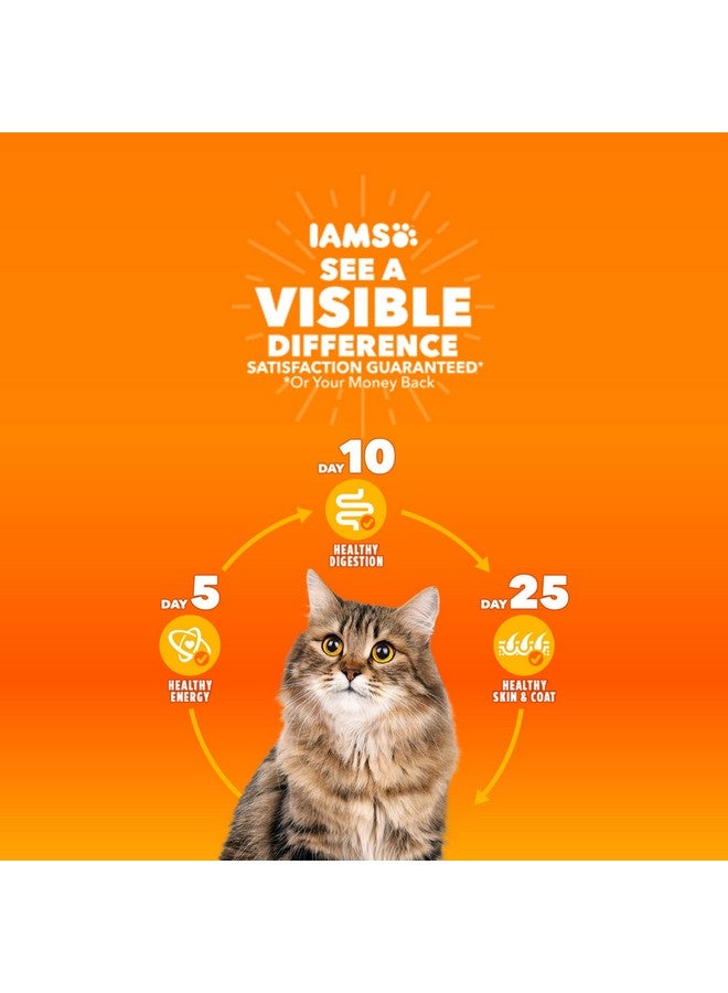 Iams Proactive Health Adult Indoor Weight & Hairball Care Dry Cat Food With Salmon, 7 Lb. Bag - Image 2