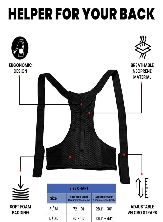 PulseITPosture Corrector Back Support Belt for Men & Women. Back Support Brace for Spine Alignment, Shoulder & Neck Pain Relief. Adjustable Lumbar Support Belt for Office, Home & Workout Use. (S/M) - Image 3