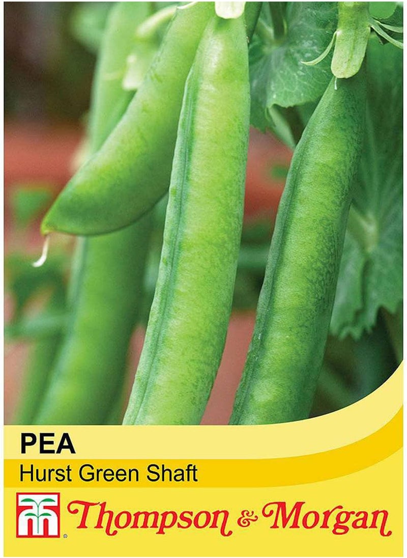 GGOOT Pea Petit Pois Vegetable Seed Yielding Heavy Crops of Pea Pods for Garden, Allotment & Greenhouse Hurst Green Shaft Variety Appox 250 Seeds 1 pcs Finished packet by  - Image 2