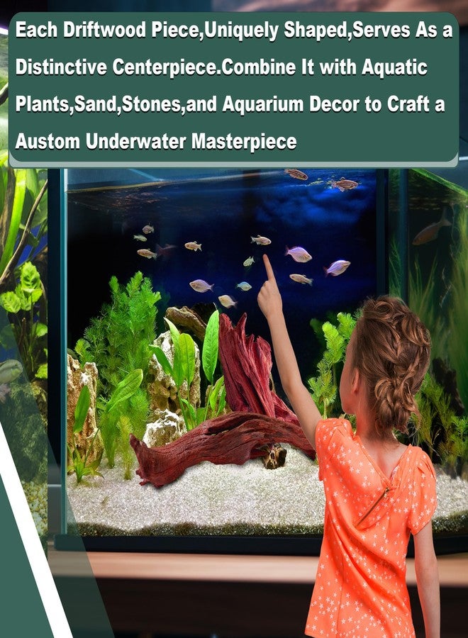 HEMYIS Natural Wood Driftwood for Aquarium Fish Tank Decor,Assorted Driftwood Trunk Branch for Reptile Tank Decor (MOP-ZYM Driftwood Branch (16 to19 Inch)-Pack of 2) - Image 5