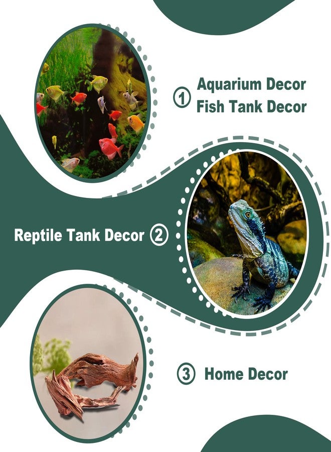 HEMYIS Natural Wood Driftwood for Aquarium Fish Tank Decor,Assorted Driftwood Trunk Branch for Reptile Tank Decor (MOP-ZYM Driftwood Branch (16 to19 Inch)-Pack of 2) - Image 4