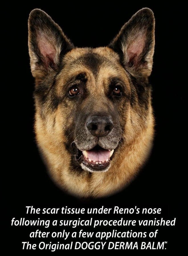 INSTACURE Doggy Derma Balm Jumbo-Sized Skin Repair Stick w/Manuka Honey. Soothes & Heals Dog's Dry Cracked Noses, Paws, Bulldog Wrinkles 100% Natural (1-Pack) - Image 4