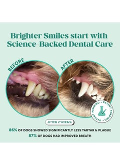 Pet Honesty Pet Honesty Dog Breath Freshener Dental Powder for Teeth Cleaning Plaque Off, Dental Care for Dogs, Tartar Remover for Teeth with Natural Herbal Blend + Postbiotics (Mint - 30 Servings)  - Image 3
