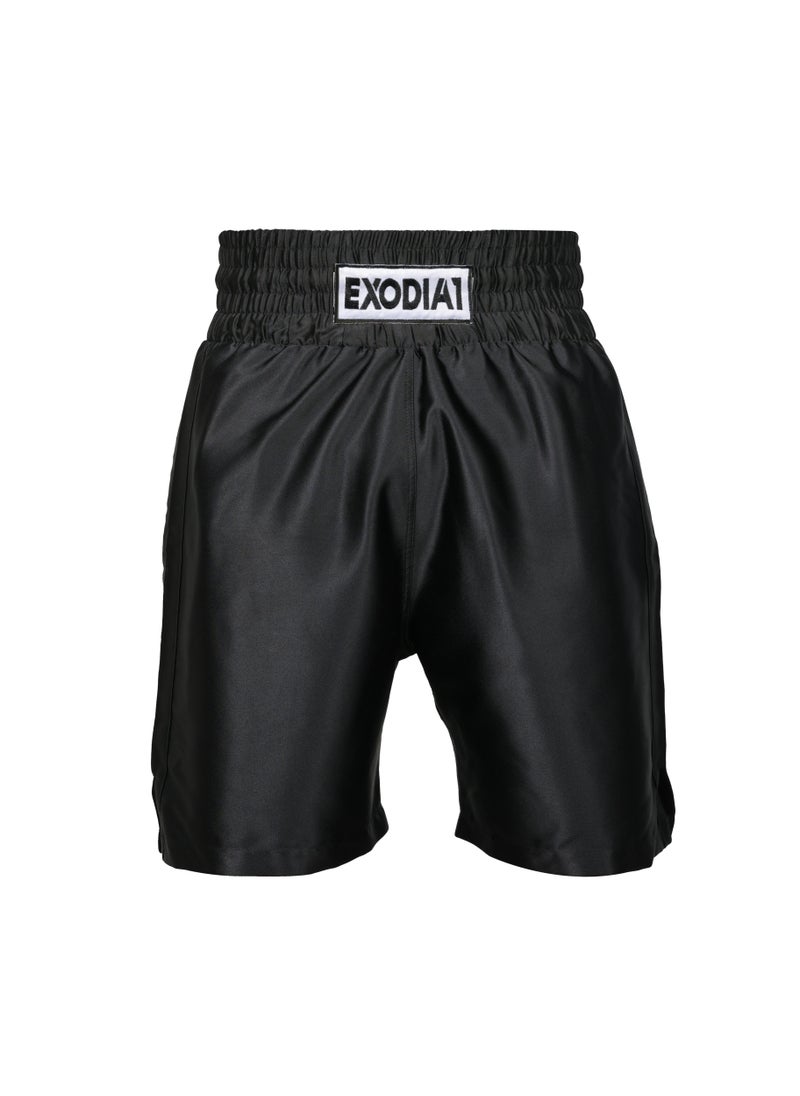 Exodia 1 Edition 1 Satin Boxing Shorts - pzsku/Z1FE25E09A832CDF8AFA5Z/45/_/1732116860/89ff1aa0-277f-4940-9449-a1f3ee5a5b08