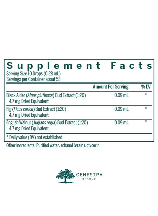 Genestra Brands Digest Gen ; Black Alder Fig And English Walnut Herbal Supplement ; 0.5 Fl. Oz. - Image 3
