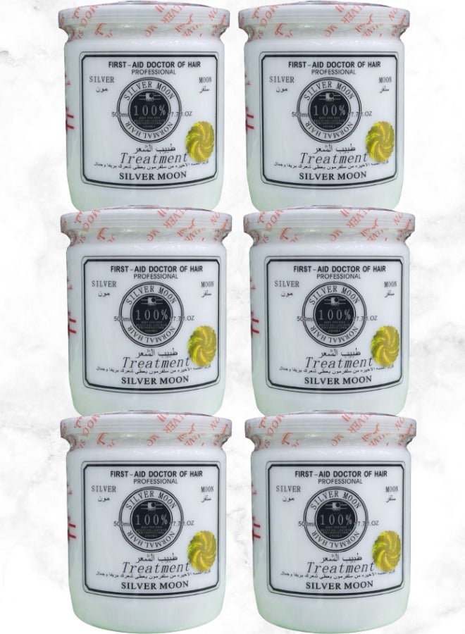 Silver Moon 6 Pieces First Aid Doctor Of Hair Professional Treatment 500ml - Image 1