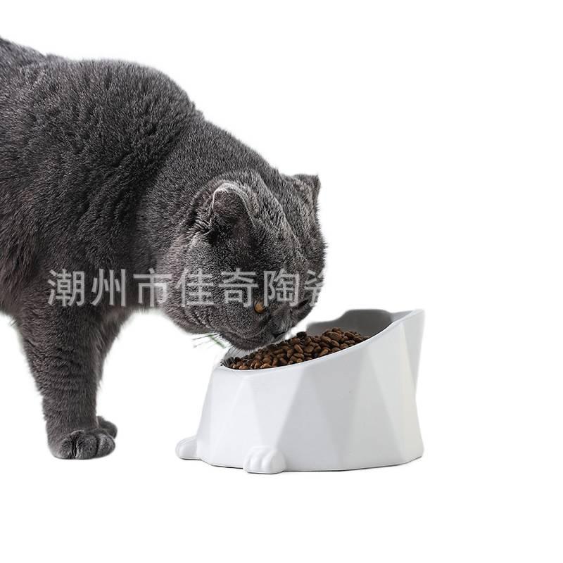 Raised Cat Bowl with Raised Stand Feeding Bowl Pet Feeding Accessory Easy Clean Bowl Floor Mat Use Food and Water Daily Feeding Indoor Feeding Home Use for Cats and Dogs Yellow fi. - Image 5
