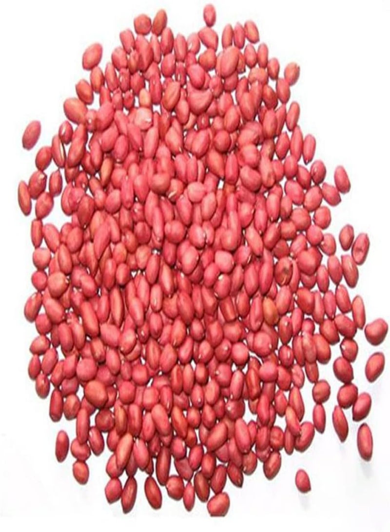 GGOOT Peanut Seeds Pack for Outdoor Planting 40Pcs - Groundnuts Monkey Nuts Seedlings Kit for Outdoor Indoor Garden Peanut Seeds 40 Pcs - Image 2