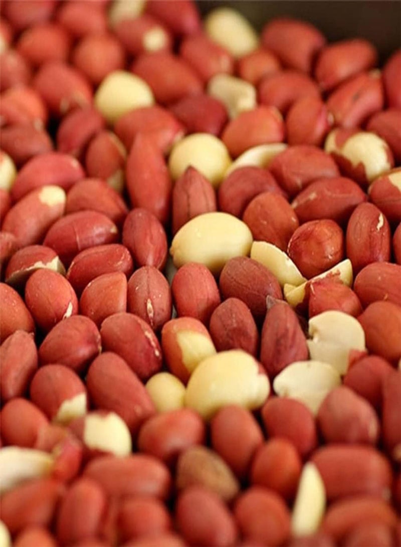 GGOOT Peanut Seeds Pack for Outdoor Planting 40Pcs - Groundnuts Monkey Nuts Seedlings Kit for Outdoor Indoor Garden Peanut Seeds 40 Pcs - Image 1