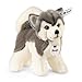 Steiff Bernie Husky Plush GreyWhite - Image 3