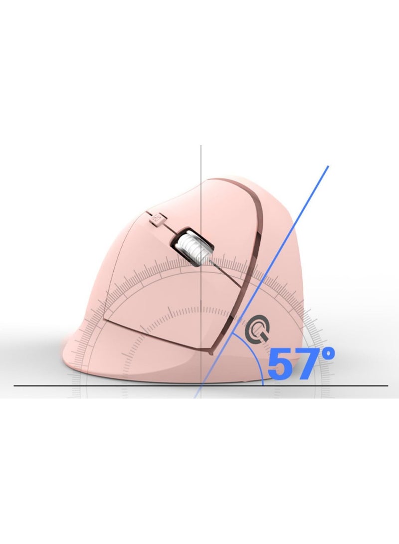 QSENN WM3100 ماوس رأسي لاسلكي (أبيض) - Image 4