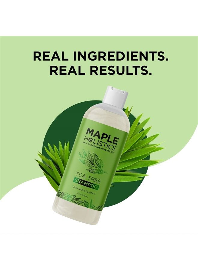 Maple Holistics شامبو شجرة الشاي للرجال والنساء - شامبو منشط بزيت شجرة الشاي خالٍ من الكبريتات مع زيت الروزماري العطري - شامبو منعش ومنقي يومي للشعر المتراكم بالإضافة إلى العناية بالشعر الجاف أو الدهني وفروة الرأس - Image 4