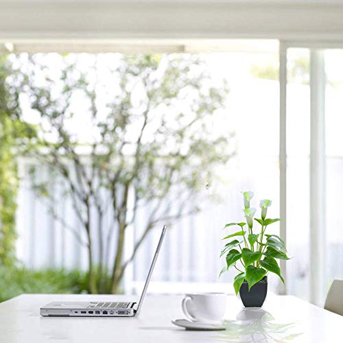 Beebel Artificial Flower Calla Lily Faux Small Potted Plant with Black Pot Fake Bonsai Flower for Home, Office, Indoor and Outdoor Occasions Decor (White Fake Flower) - Image 4