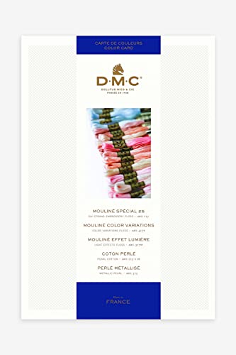 DMC Threaded Color Card  W100B