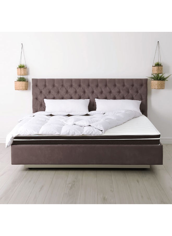 Euro Top Mattress size King 190x180x16 cm | Thickness 16 cm - pzsku/Z1FEA57AA1BF7C415395AZ/45/_/1646396150/0d7bc2e9-2cff-46da-974f-f268264c0344