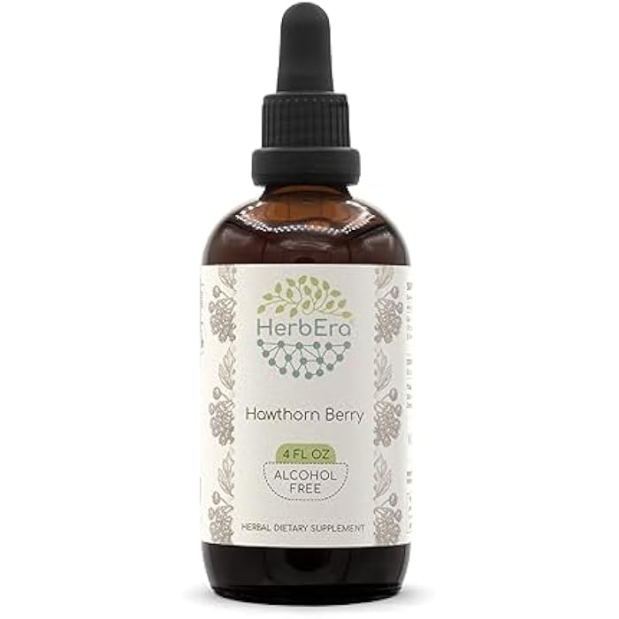 HerbEra Hawthorn Berry B120 Alcohol-Free Herbal Extract Tincture, Concentrated Liquid Drops Natural (Shan Zha, Crataegus Laevigata) 4 fl oz - Image 1