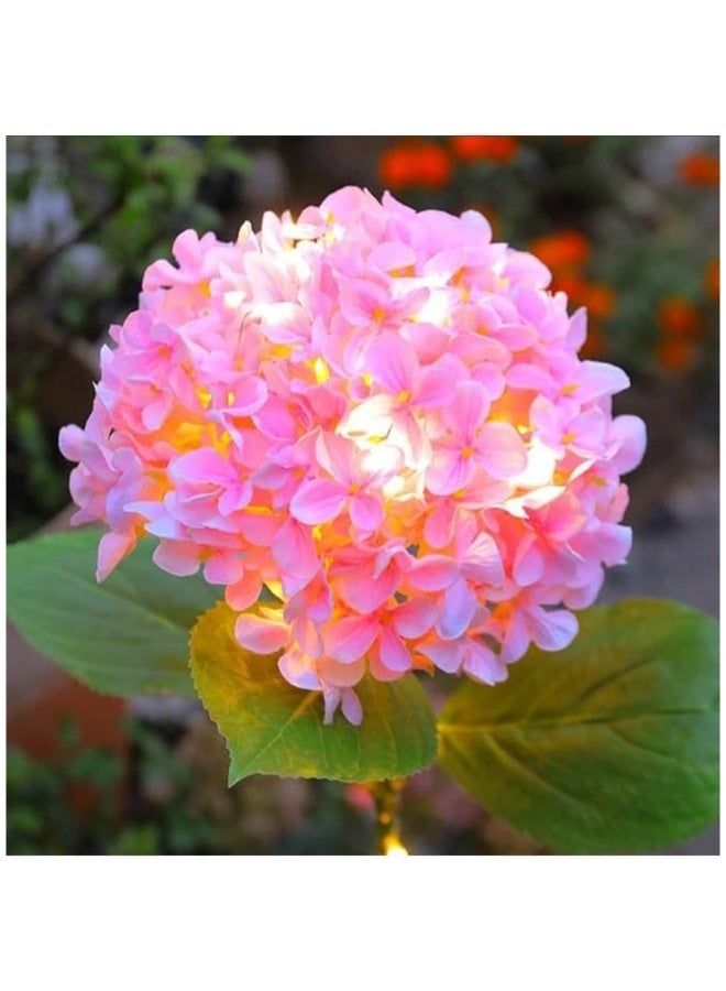 Solar Hydrangea Flower Garden Lights, 8-Color Changing LED Outdoor Decorative Pathway Stake Lights, Waterproof, Auto On/Off (2-Pack) - Image 2
