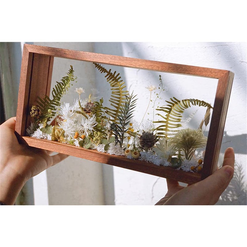 WANLIAN Rectangle Shadow Box Acrylic Wood Frame Display Storage Box  10X5 Desktop Postcard Display Pressed Flowers Dried Leaf Display Table Decoration (Walnut Brown) - Image 1