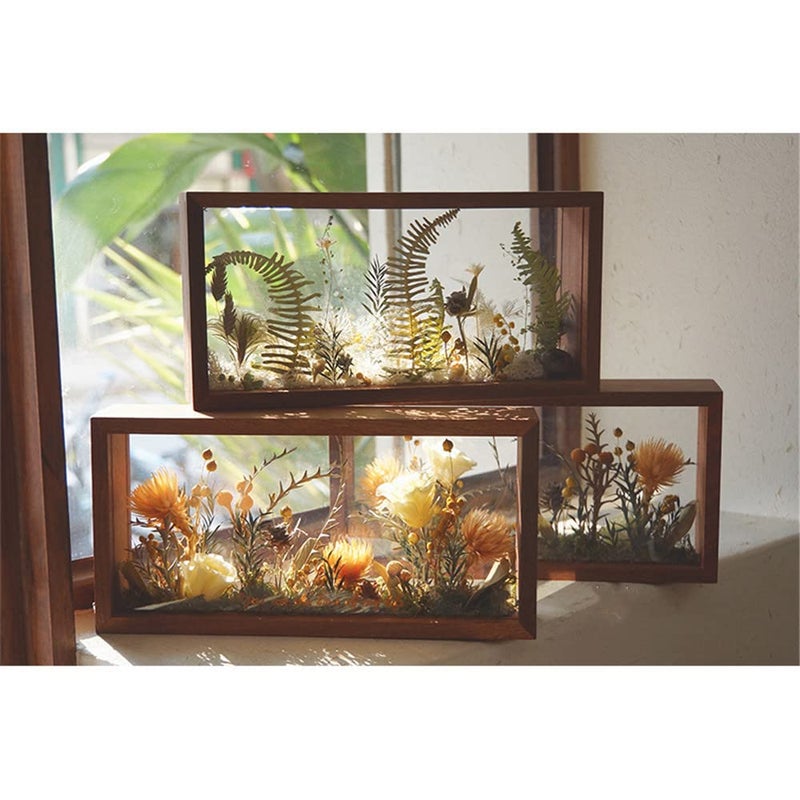 WANLIAN Rectangle Shadow Box Acrylic Wood Frame Display Storage Box  10X5 Desktop Postcard Display Pressed Flowers Dried Leaf Display Table Decoration (Walnut Brown) - Image 3