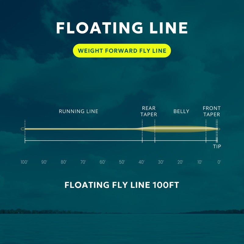 SF WF8F 100FT Fly Fishing Line Weight Forward Floating Fly Line for Fly Fishing Double Welded Loops Moss Green - Image 4