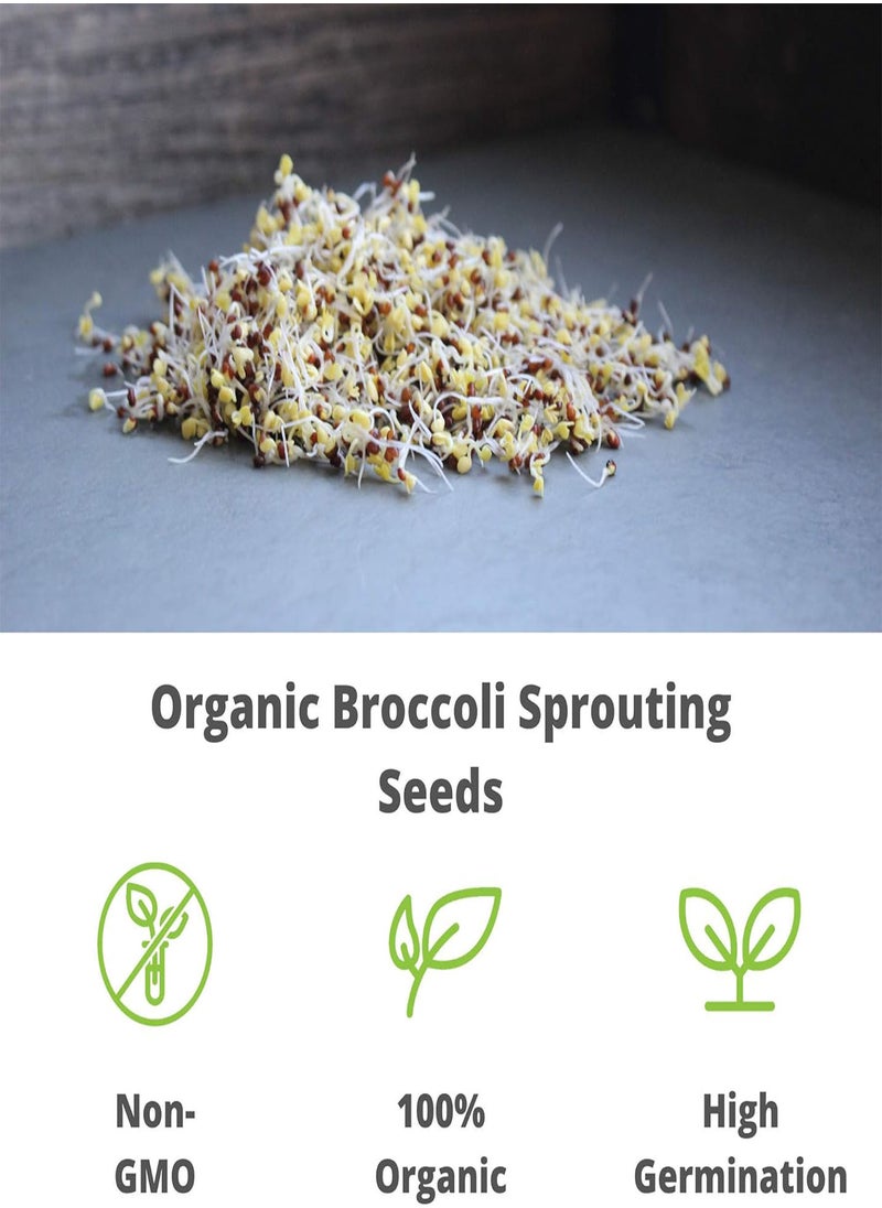 Organic Broccoli Sprouting Seeds by  | 2.5 Pound Resealable Bag | Bulk Non-GMO Broccoli Sprouts Seeds, Contain Sulforaphane