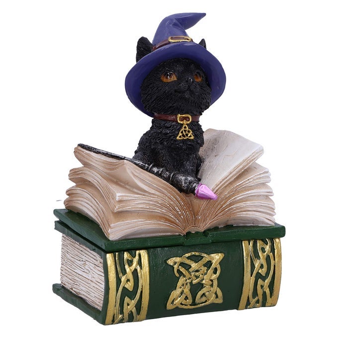 BINX SMALL WITCHES FAMILIAR BLACK CAT AND SPELLBOOK FIGURINE BOX GREEN 11CM
