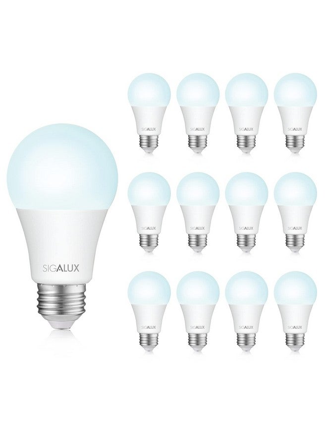 سيجالوكس لمبات إضاءة ليد A19 تعادل 100 واط، لمبات إضاءة نهارية قياسية 5000 كلفن، لمبات إضاءة بيضاء غير قابلة للتعتيم 13 وات موفرة للطاقة مع قاعدة متوسطة E26، 1500 لومن، مدرجة في قائمة UL، 12 عبوة - Image 1