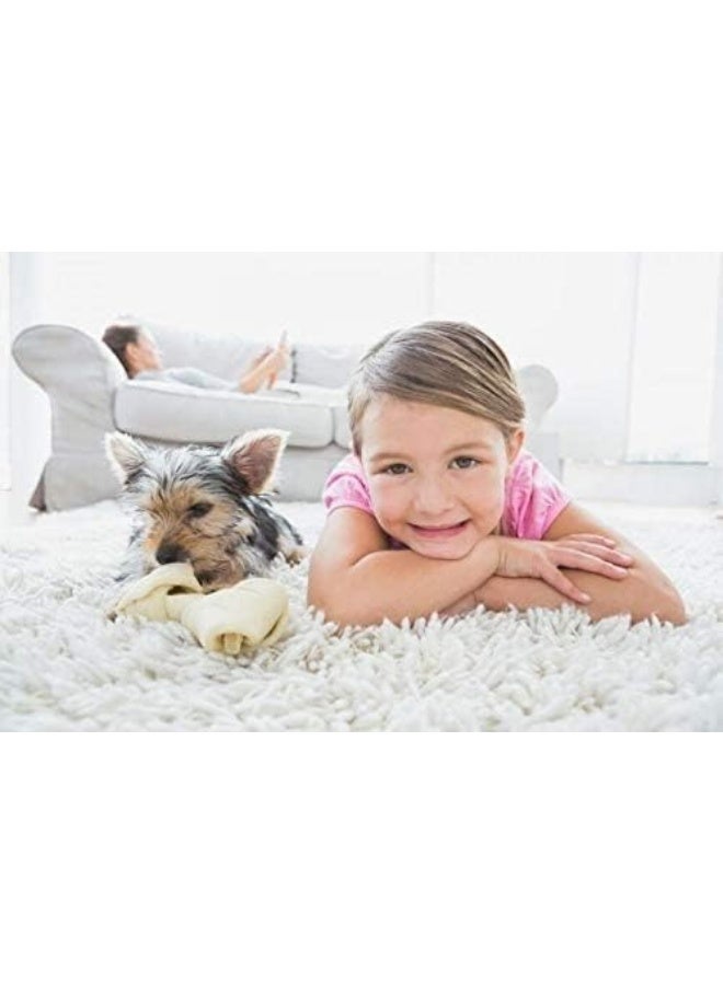 Capture Carpet Dry Cleaner Powder 2.5 Pound - Image 5