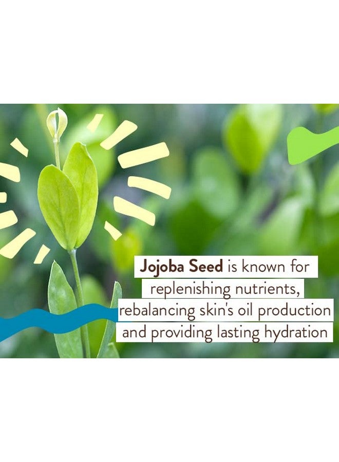 بابو بوتانيكالز واقي شمسي ملون شفاف معدني يومي من بابو بوتانيكالز بعامل حماية من الشمس 30 - أكسيد الزنك الطبيعي وثاني أكسيد التيتانيوم - ملون - إشراقة صحية - خالٍ من العطور - زيت ثمر الورد وحمض الهيالورونيك - للوجه - لجميع الأعمار - Image 3