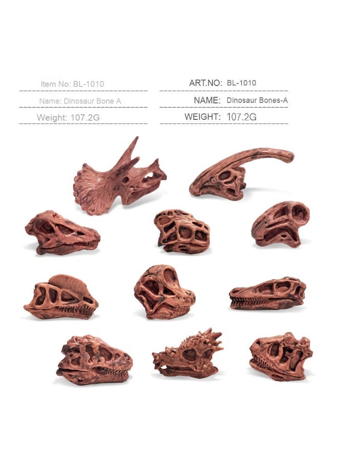 NIBEMINENT Children's Early Education Cognitive Fossil Toys - Wild Prehistoric Mammal Dinosaur Skull Model