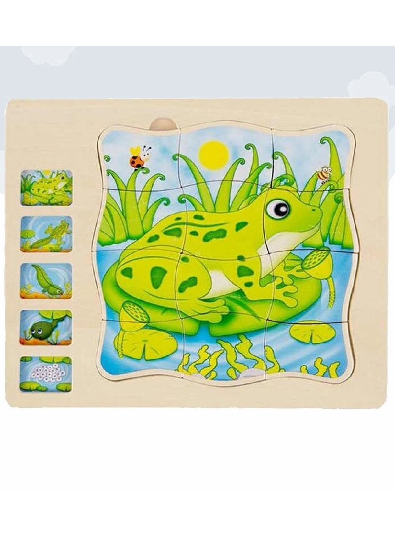 Educational Wooden Puzzle for Kids - Multi-Layer Frog Life Cycle - Image 1