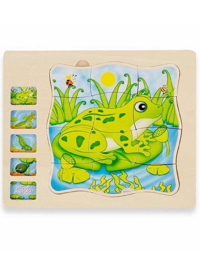 Educational Wooden Puzzle for Kids - Multi-Layer Frog Life Cycle - Image 2