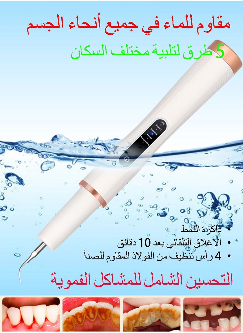 Syarme Plaque Remover for Teeth, Electric Tooth Cleaner Tartar Remover for Teeth with LED Light, Rechargeable Teeth Cleaning Kit, Dental Tools with 6 Modes and 4 Cleaning Heads, Including Storage Box  - Image 4