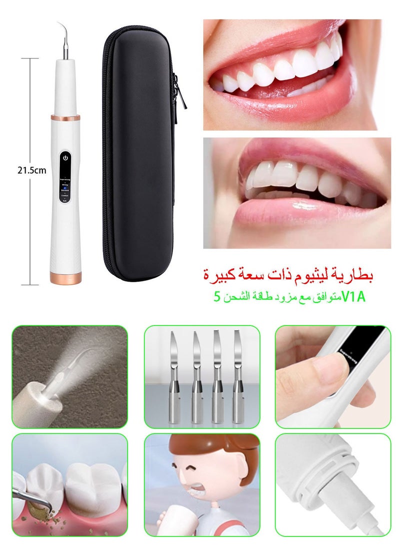 Syarme Plaque Remover for Teeth, Electric Tooth Cleaner Tartar Remover for Teeth with LED Light, Rechargeable Teeth Cleaning Kit, Dental Tools with 6 Modes and 4 Cleaning Heads, Including Storage Box  - Image 5