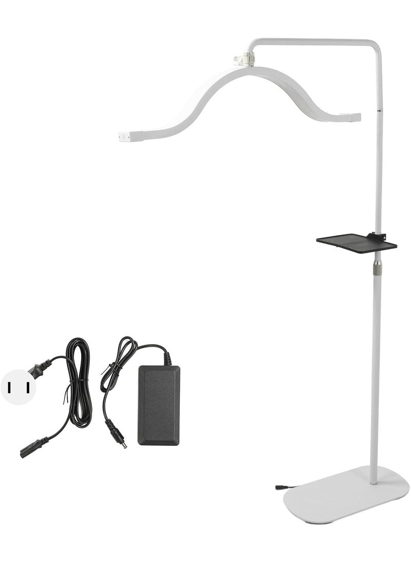 Bewinner - 29 Inch Eyelash LED Floor Light, 3200K-5600K Half Moon Lamp with Phone Holder, Adjustable Estheticians Light for Beauty Skincare Lashes Eyebrows Facial SPA (White) - Image 1